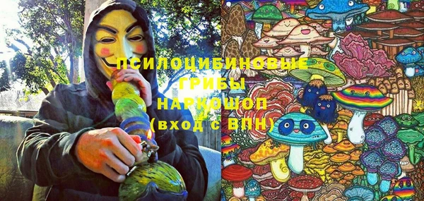 PSILOCYBIN Горнозаводск